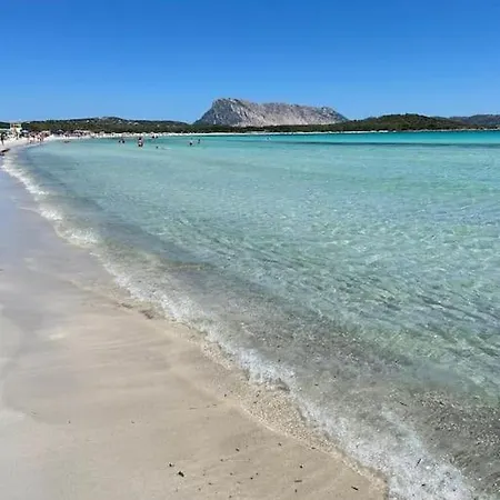 Casa vacanze Dependance Immersa Nel Con Piscina *
